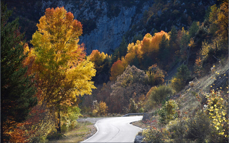Guy B. Samoyault - Samoyault-Guy-Route-aragonaise